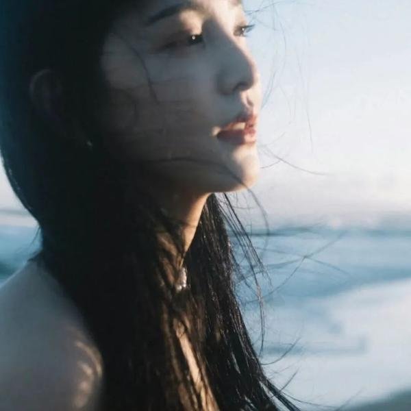 精忠岳飞
