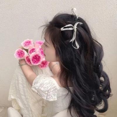 大鸟和小鸟